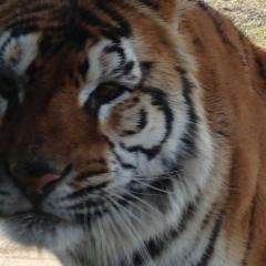 だれでもトーク