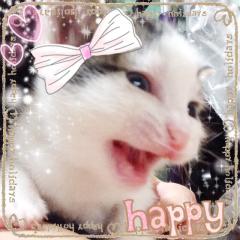 ネコ好き募集！