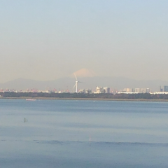 あたまのトーク  きて!!