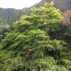 自然好きな人トークしましょう