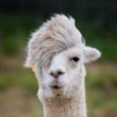 すわっちのトーク