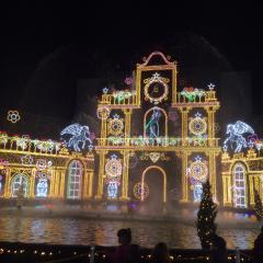 癒しがほしいよ