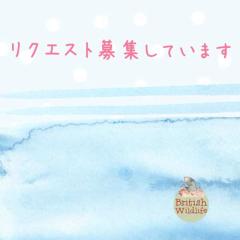 画像リクエストがあれば教えてください！