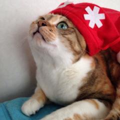 ゆーや♪