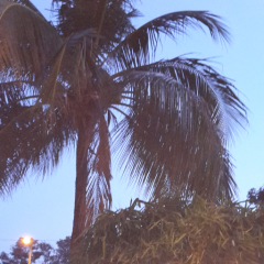 中国語と英語教室