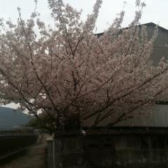 つーたんのトーク部屋