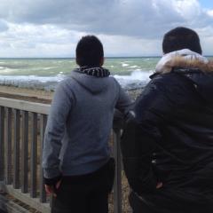 マイクラマルチ募集