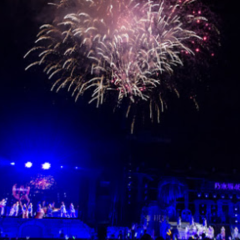 乃木坂ふぁみりーのライブ参戦表⊿