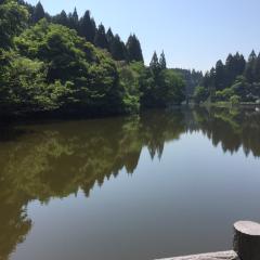 バス釣り