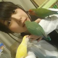 たなかみけ