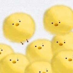 ひよこのトーク