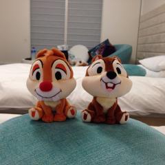 俳優さん好き\✡/