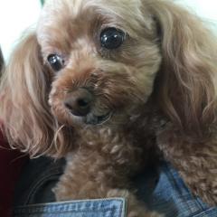 愚痴を言い合う部屋（神対応）