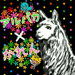 アルパカさん