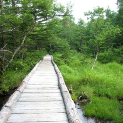 地震予知情報、結果情報を伝える部屋