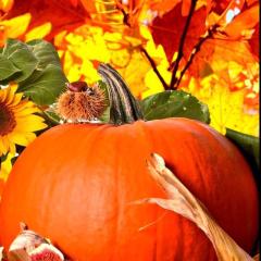 りい姉とゆきなのトーク