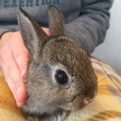 友達募集！！=(^.^)=