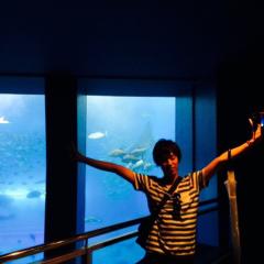 かとうじんのトーク