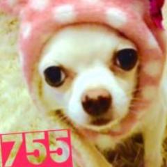 I_Satoshi1979