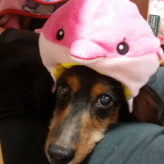 くりのすけりくのトーク