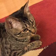 みんなでトークやろっ‼︎