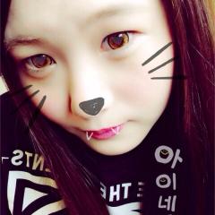아이네코
