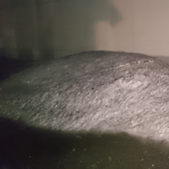 ゆきぽよ専用トーク部屋！！