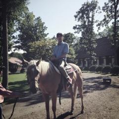 ウマンマミーヤ