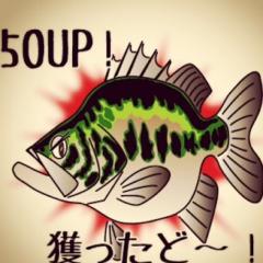 淀川 バスフィッシング