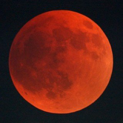 かつしんのツブヤキ