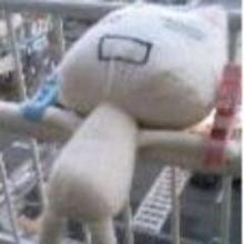 ひよこ屋