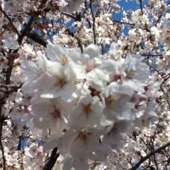 ひな＆MOEのトーク❤