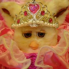 Black cheのトーク