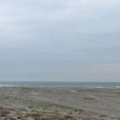 幸せになりたい