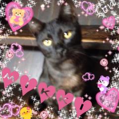 ネコ好き大歓迎！