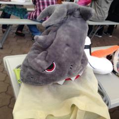 関西のサメのトークルーム