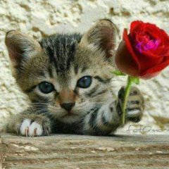 キュンキュン!トーク♡