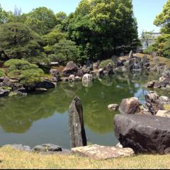 チーズは種入り