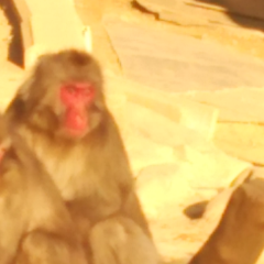 悩み多き人集まれ♪