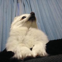 株初心者ちーちゃんのトーク