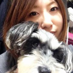 ❤️シュナちゃんファン❤️