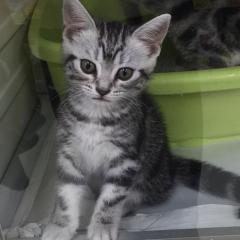 ゆっらーのトーク