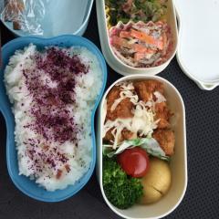 腸チフス学級委員長