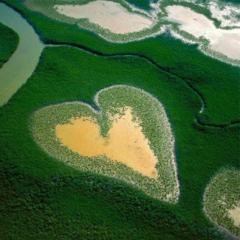 ふっこのトーク