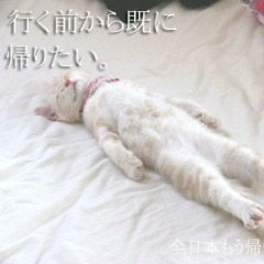 はるまきりん