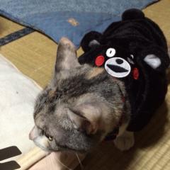 オリュウのトーク