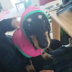 100%暇ー！な人お話ししーましょ！