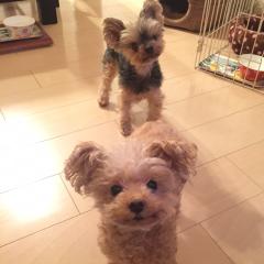 マネージャーのトーク