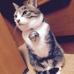 好きなゲームについて話しましょう