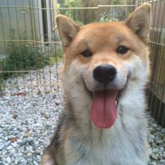 にゃおのトーク